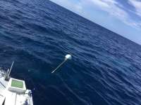 Great day of scuba diving in Key Largo with Rainbow Reef on spiegel grove tropical odyssey 2017 07 09 r4464 1