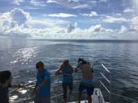 Great day of scuba diving in Key Largo with Rainbow Reef on spiegel grove tropical odyssey 2017 07 16 r4500 1