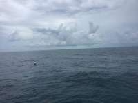 Great day of scuba diving in Key Largo with Rainbow Reef on benwood wreck tropical adventure 2017 06 03 r4305 1