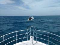 Great day of scuba diving in Key Largo with Rainbow Reef on benwood wreck tropical odyssey 2017 06 06 r4315 1
