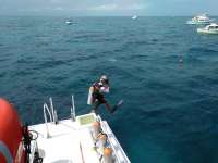 Great day of scuba diving in Key Largo with Rainbow Reef on christmastree cave tropical legend 2017 06 16 r4351 1