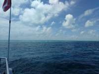 Great day of scuba diving in Key Largo with Rainbow Reef on christmastree cave tropical odyssey 2017 06 24 r4378 1