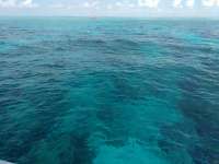 Great day of scuba diving in Key Largo with Rainbow Reef on eagle ray alley tropical legend 2017 06 16 r4348 1