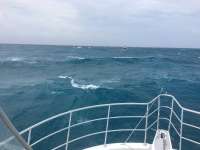 Great day of scuba diving in Key Largo with Rainbow Reef on french reef tropical odyssey 2017 06 08 r4317 1