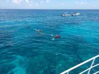 Great day of scuba diving in Key Largo with Rainbow Reef on molasses reef tropical legend 2017 06 28 r4398 1