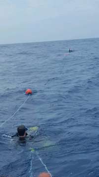 Great day of scuba diving in Key Largo with Rainbow Reef on spiegel grove tropical explorer 2017 06 10 r4327 1