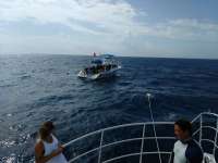 Great day of scuba diving in Key Largo with Rainbow Reef on spiegel grove tropical odyssey 2017 06 10 r4322 1