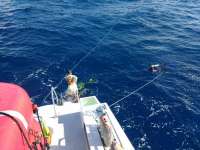 Great day of scuba diving in Key Largo with Rainbow Reef on spiegel grove tropical odyssey 2017 06 24 r4375 1