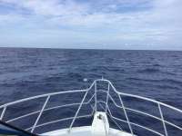 Great day of scuba diving in Key Largo with Rainbow Reef on uscgc duane tropical adventure 2017 06 05 r4311 1