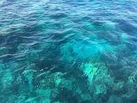 Great day of scuba diving in Key Largo with Rainbow Reef on winch hole tropical legend 2017 06 15 r4344 1