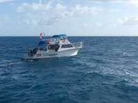 Great day of scuba diving in Key Largo with Rainbow Reef on benwood wreck tropical legend 2017 03 26 r4025 1