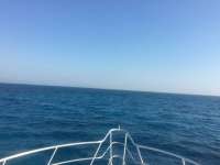 Great day of scuba diving in Key Largo with Rainbow Reef on crf nursery tropical adventure 2017 03 23 r4015 1