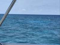 Great day of scuba diving in Key Largo with Rainbow Reef on eagle ray alley tropical adventure 2017 03 13 r3961 1