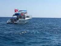 Great day of scuba diving in Key Largo with Rainbow Reef on eagle ray alley tropical explorer 2017 03 11 r3945 1