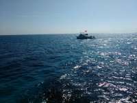 Great day of scuba diving in Key Largo with Rainbow Reef on eagle ray alley tropical odyssey 2017 03 11 r3942 1