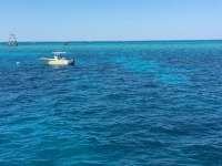 Great day of scuba diving in Key Largo with Rainbow Reef on eagle ray alley tropical voyager 2017 03 19 r3998 2