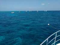 Great day of scuba diving in Key Largo with Rainbow Reef on fire coral cave tropical odyssey 2017 03 23 r4019 1