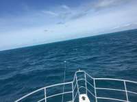 Great day of scuba diving in Key Largo with Rainbow Reef on french reef tropical legend 2017 03 14 r3963 1