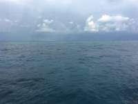 Great day of scuba diving in Key Largo with Rainbow Reef on french reef tropical odyssey 2017 03 12 r3950 1
