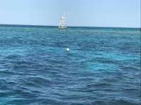 Great day of scuba diving in Key Largo with Rainbow Reef on hole in the wall tropical legend 2017 03 20 r4000 1