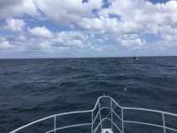 Great day of scuba diving in Key Largo with Rainbow Reef on hole in the wall tropical legend 2017 03 30 r4044 1
