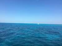 Great day of scuba diving in Key Largo with Rainbow Reef on molasses reef tropical legend 2017 03 11 r3944 1