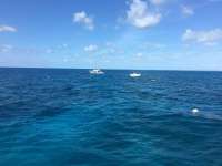 Great day of scuba diving in Key Largo with Rainbow Reef on molasses reef tropical legend 2017 03 13 r3959 1