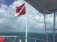 Great day of scuba diving in Key Largo with Rainbow Reef on molasses reef tropical legend 2017 03 25 r4021 1