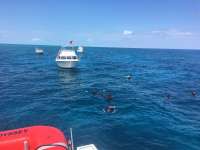 Great day of scuba diving in Key Largo with Rainbow Reef on molasses reef tropical odyssey 2017 03 12 r3954 1