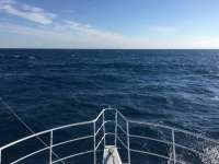 Great day of scuba diving in Key Largo with Rainbow Reef on molasses reef tropical odyssey 2017 03 16 r3969 1
