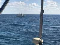 Great day of scuba diving in Key Largo with Rainbow Reef on permit ledges tropical legend 2017 03 13 r3958 1