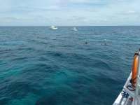Great day of scuba diving in Key Largo with Rainbow Reef on pickle barrel wreck tropical legend 2017 03 17 r3977 1