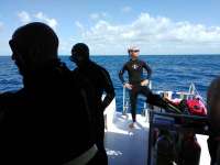 Great day of scuba diving in Key Largo with Rainbow Reef on spiegel grove tropical odyssey 2017 03 27 r4028 1