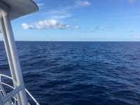 Great day of scuba diving in Key Largo with Rainbow Reef on uscgc duane tropical odyssey 2017 03 13 r3956 1