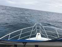 Great day of scuba diving in Key Largo with Rainbow Reef on winch hole tropical adventure 2017 03 02 r3924 1
