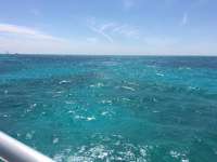 Great day of scuba diving in Key Largo with Rainbow Reef on winch hole tropical legend 2017 03 16 r3973 1