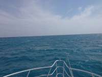 Great day of scuba diving in Key Largo with Rainbow Reef on woodys tropical adventure 2017 03 31 r4048 1