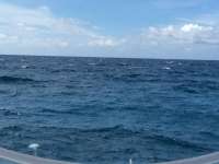 Great day of scuba diving in Key Largo with Rainbow Reef on benwood wreck tropical legend 2017 05 23 r4247 1