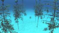 Great day of scuba diving in Key Largo with Rainbow Reef on crf nursery tropical explorer 2017 05 12 r4208 1