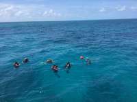 Great day of scuba diving in Key Largo with Rainbow Reef on french reef tropical adventure 2017 05 31 r4291 1