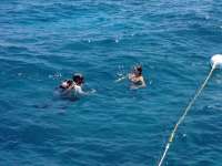 Great day of scuba diving in Key Largo with Rainbow Reef on french reef tropical odyssey 2017 05 26 r4265 2