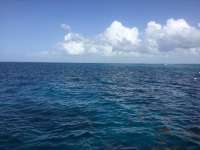 Great day of scuba diving in Key Largo with Rainbow Reef on hole in the wall tropical legend 2017 05 29 r4281 1