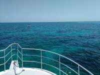 Great day of scuba diving in Key Largo with Rainbow Reef on minnow cave tropical odyssey 2017 05 29 r4285 1