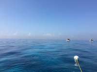 Great day of scuba diving in Key Largo with Rainbow Reef on molasses reef tropical explorer 2017 05 28 r4275 1