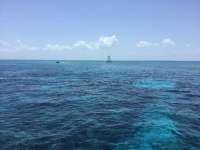 Great day of scuba diving in Key Largo with Rainbow Reef on molasses reef tropical voyager 2017 05 28 r4278 1