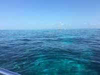 Great day of scuba diving in Key Largo with Rainbow Reef on north star tropical explorer 2017 05 27 r4267 1