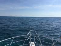 Great day of scuba diving in Key Largo with Rainbow Reef on snapper ledge tropical adventure 2017 05 11 r4197 1