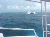 Great day of scuba diving in Key Largo with Rainbow Reef on snapper ledge tropical legend 2017 05 05 r4175 1