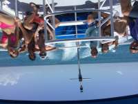 Great day of scuba diving in Key Largo with Rainbow Reef on spiegel grove tropical adventure 2017 05 27 r4269 2
