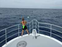 Great day of scuba diving in Key Largo with Rainbow Reef on spiegel grove tropical odyssey 2017 05 14 r4217 1